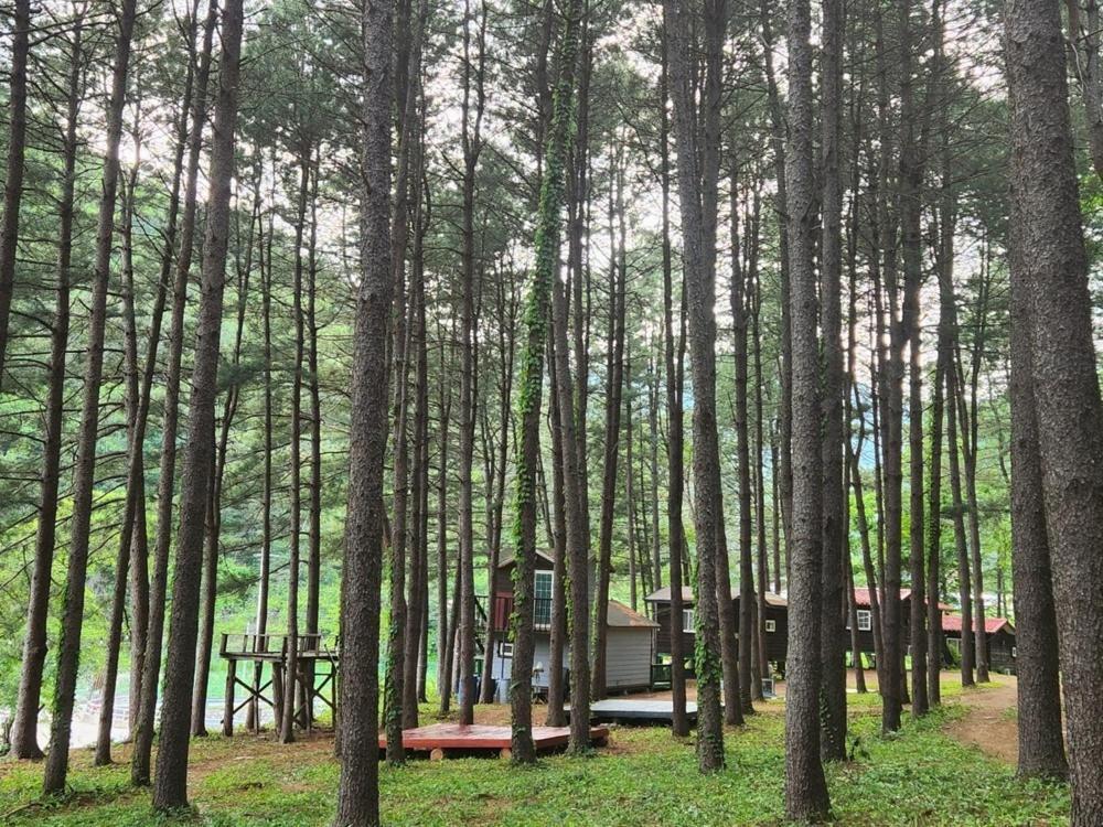 Hongcheon Gongjaksan Recreational Forest Pension Экстерьер фото